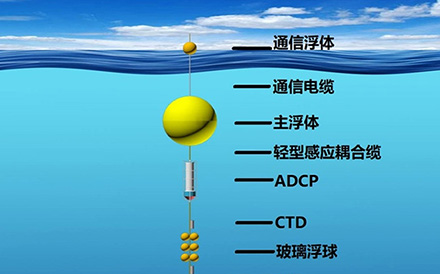 Real time submarine buoy observation system
