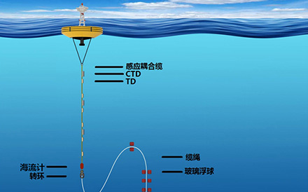 Submarine buoy observation system