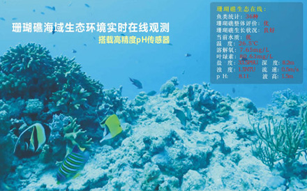 Underwater wave online observation system