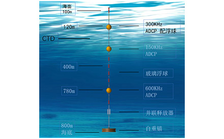 Self-contained submersible buoy observation system